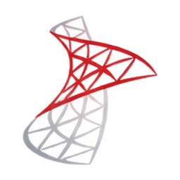SQL Server logo